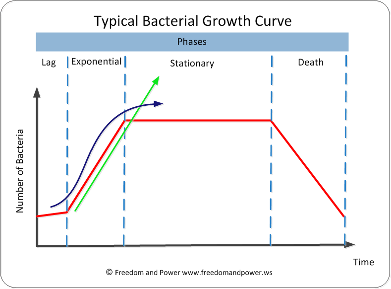 Bacterial Growth Curves - Models